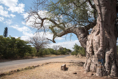 Livingstone: Passeio pela Vila Mukuni com Refeição TradicionalLivingstone: passeio pela aldeia de Mukuni com refeição tradicional