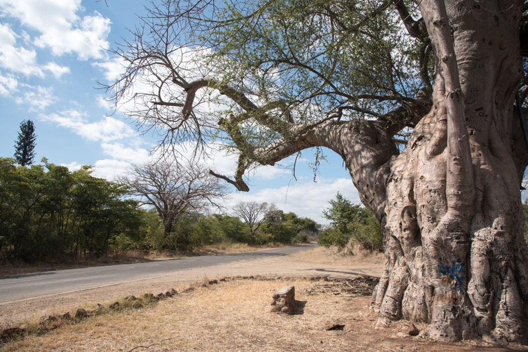 Livingstone: Passeio pela Vila Mukuni com Refeição TradicionalLivingstone: passeio pela aldeia de Mukuni com refeição tradicional
