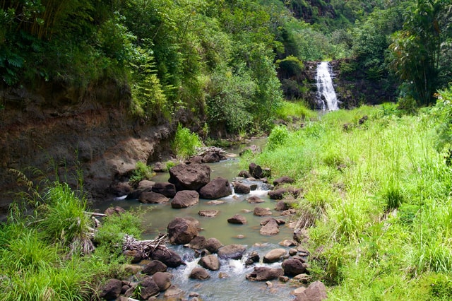 Private Tour Oahu with Waimea Waterfall & Botanical Garden