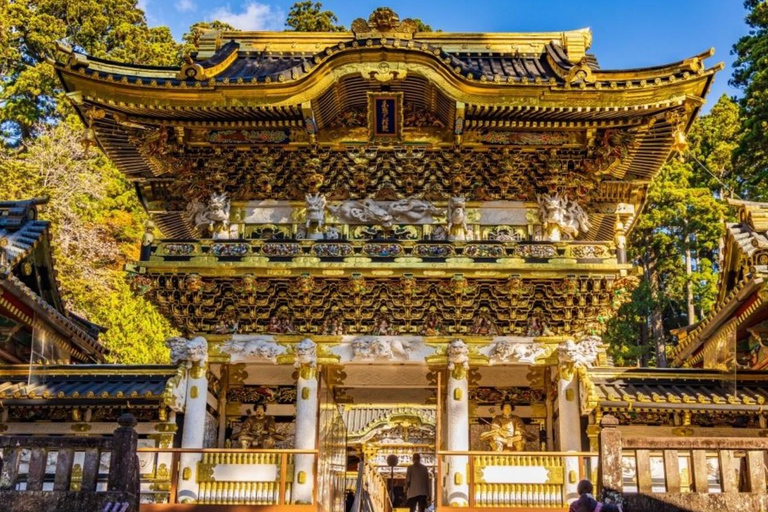 Tokyo: City Full-Day Private Customizable Best Places Tour