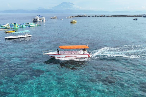 Nusa Penida: 3-Spot Snorkeling at SD, Gamat & Wall Nusa Penida hotel pickup