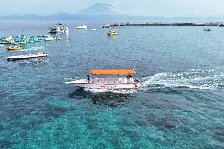 Nusa Penida: 3-Spot Snorkeling at SD, Gamat & Wall Nusa Penida hotel pickup
