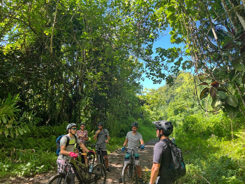 Tahiti E-bike, mtb, vtt Tour avec baignade et déjeuner