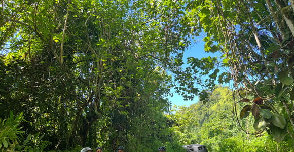 Tahiti E-bike, mtb, vtt Tour with Swimming and Lunch