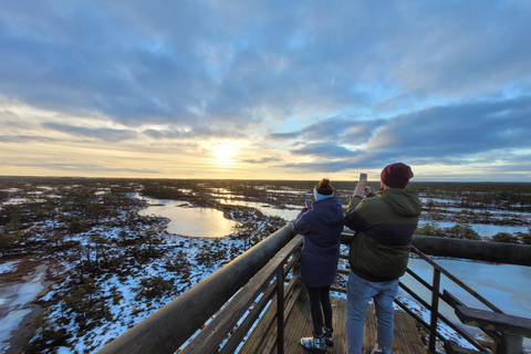 Ķemeri Great Bog With Optional Sunrise & Jūrmala Visit Ķemeri Bog Shared Small Group Tour