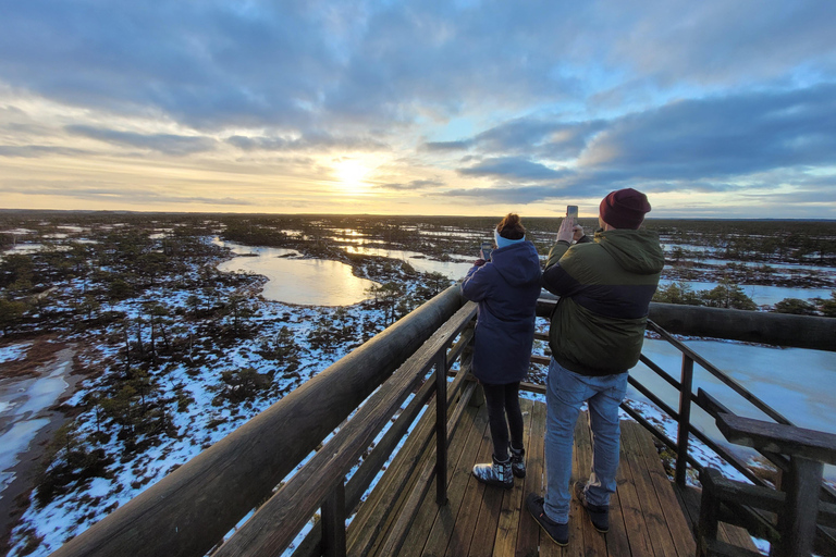 Ķemeri Great Bog With Optional Sunrise & Jūrmala Visit Ķemeri Bog Shared Small Group Tour