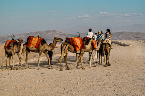 Marraquexe: Agafay Desert Quad &amp; Camel Rides with Dinner Show