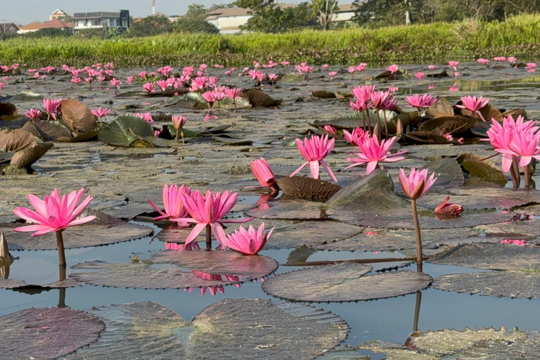 Vientiane: Private City Tour by EV TukTuk with Guide