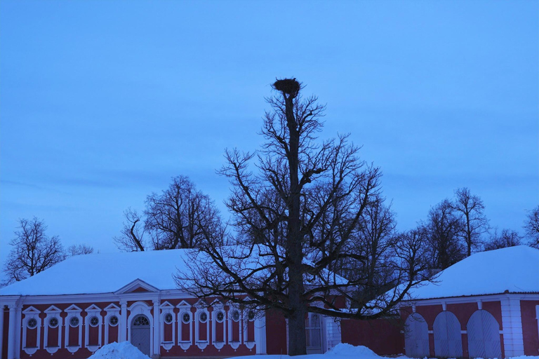 From Riga: Guided Day Tour to Rundale Palace & Bauska Castle