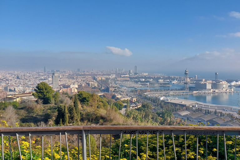 Barcelona: Private City Tour