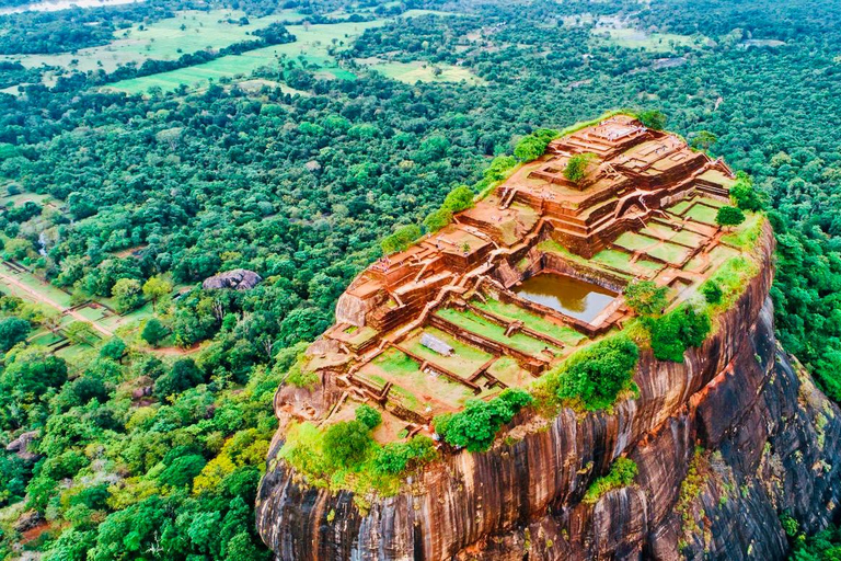 Sigiriya e Dambulla: Tour privato di un giorno da Trincomalee