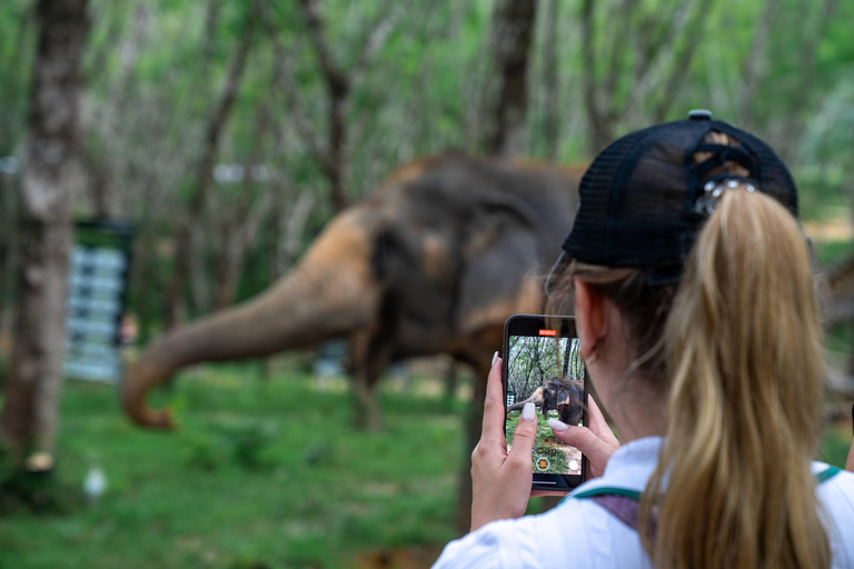 Khao Lak’s Best: Elephant Sanctuary,Rubber Tapping&Waterfall Khaolak Elephant Sanctuary Guided Tour with Hotel Transfers