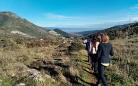 - TuttoLucca.it