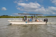 Dolphin & whale watching | Hilton Head Island things to do in Bluffton