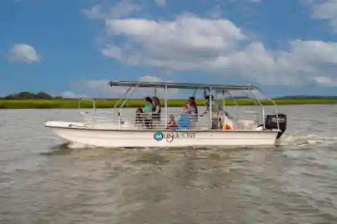 Hilton Head: Dolphin Eco Tour with Naturalist Guide