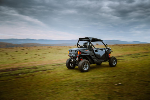 Hammamet: Premium Buggy Tour with Photo Stops