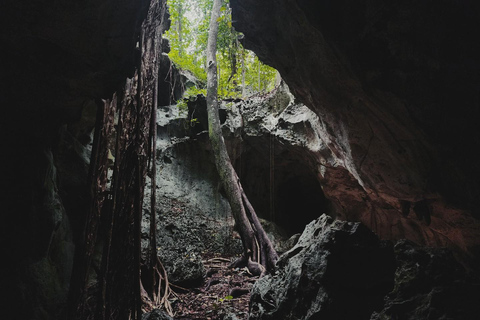 Tour e trasporto delle grotte della Grotta VerdeDa Falmouth/ Trelawny