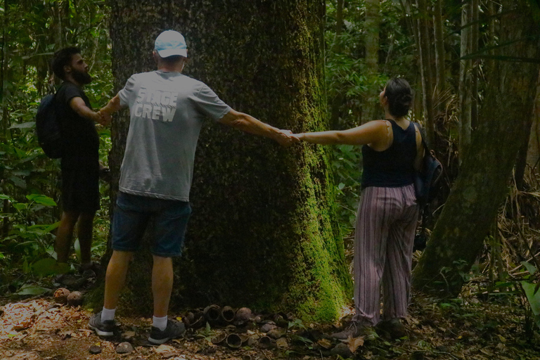 selva viva de tambopata