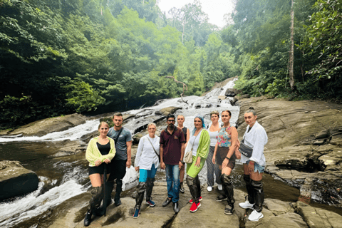 Sinharaja: Private Trek from South Coast with Lankan Lunch Pickup from Hikkaduwa, Galle, Mirissa & South Coast by car