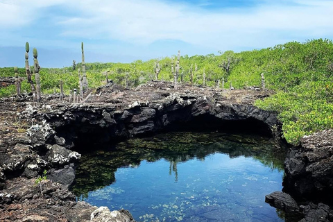 From Isabela Island: Tunnels Boat Tour and Snorkeling Trip