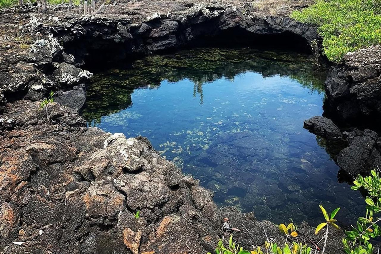 From Isabela Island: Tunnels Boat Tour and Snorkeling Trip