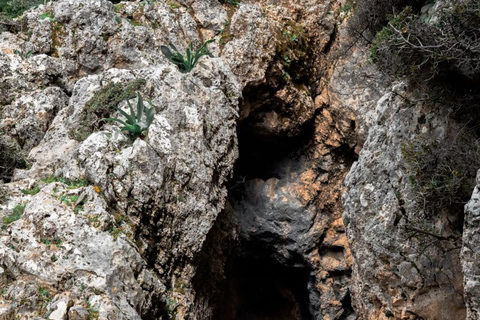 Crete: Platanion Gorge Hiking Tour with Traditional Lunch