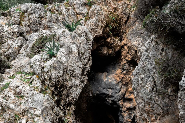 Crete: Platanion Gorge Hiking Tour with Traditional Lunch