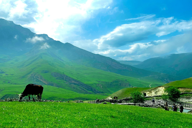 1-D Shamakhi, Nohur-sjön, Gabala och Toufandagh.flerspråkig guide