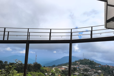 From Huatulco to Pluma Hidalgo: a gastronomic and natural immersion