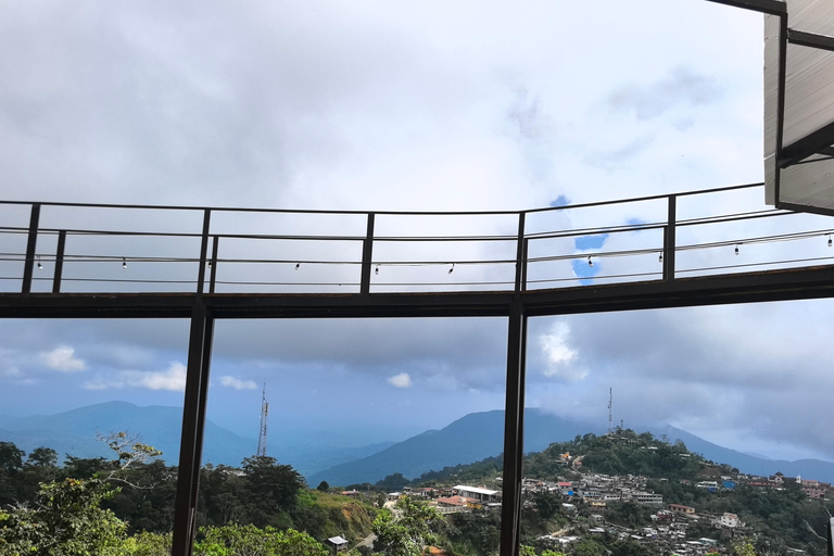 From Huatulco to Pluma Hidalgo: a gastronomic and natural immersion