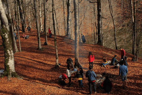 Wanderung zum Garanohur See (leicht)