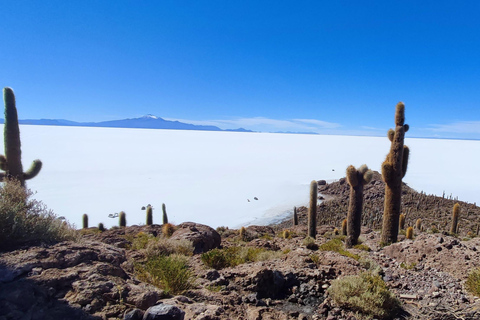 SALAR DE UYUNI: wycieczki po majestatycznym solnisku Uyuni