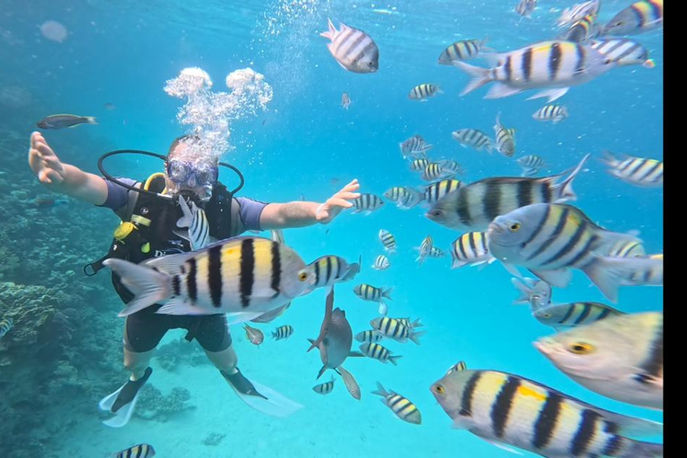 Sahl Hasheesh Elite Beach Dive & Coral Reef Experience