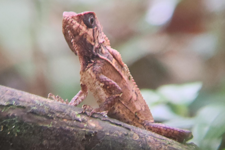 Excursión al Parque Nacional de Manuel Antonio.