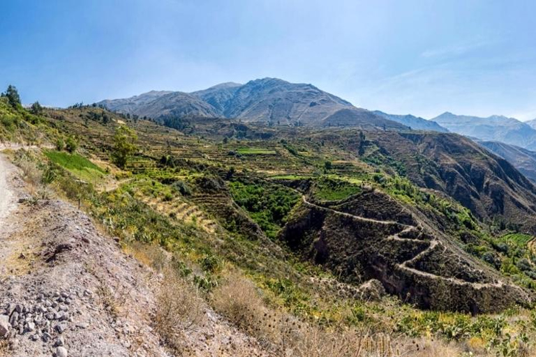 One day excursion to Colca Canyon + Transfer to Puno