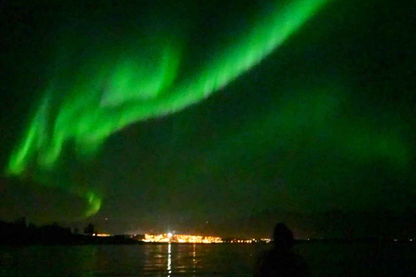 Tromsø: Arctic Fjord & Island Sightseeing Small Group Tour