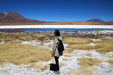 Vanuit Lima: 13-daagse tour naar Machu Picchu en Uyuni zoutvlaktes