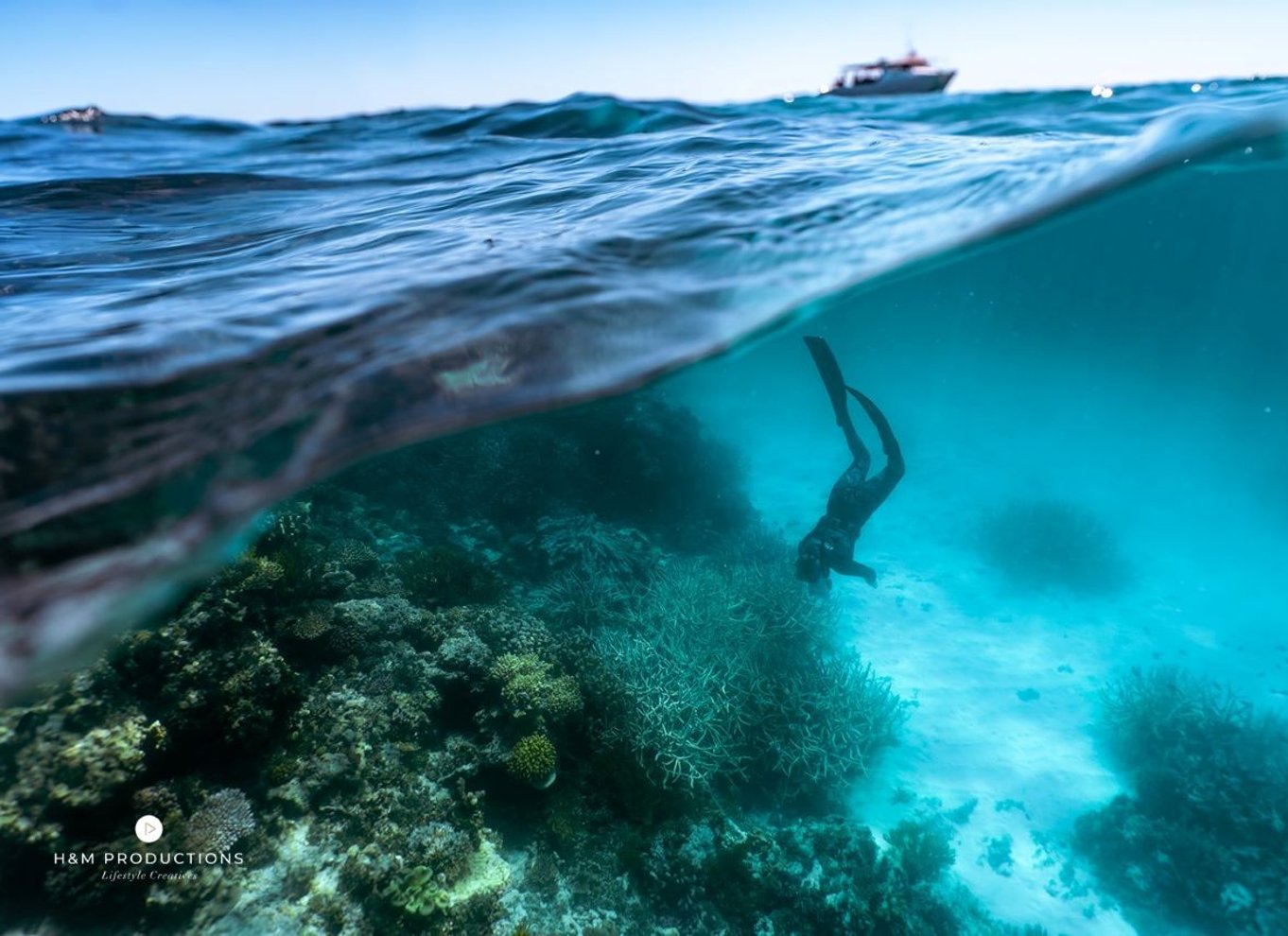 Dagstur med dykning på det sydlige Great Barrier Reef