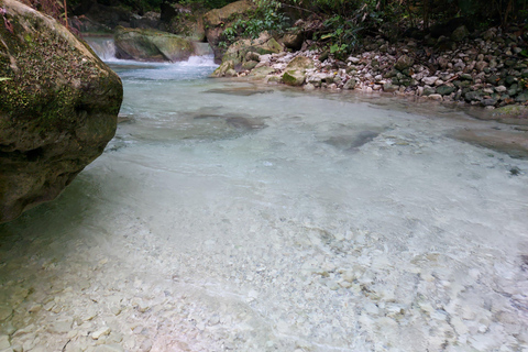 Barahona: Combo Montaña - Mina Larimar y senderos botánicos