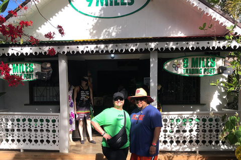 Bob Marley, Blue Hole, Secret Falls and Luminous Lagoon Tour From Montego Bay/ Falmouth/ Trelawny