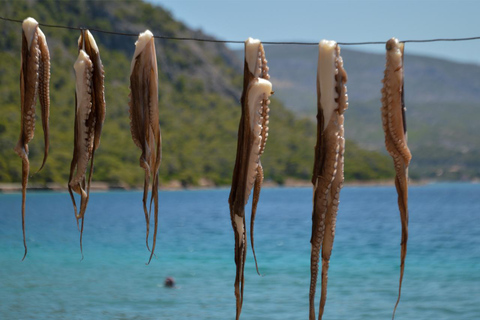 From Athens: Loutraki, Vouliagmeni Lake & Beach Swim Day