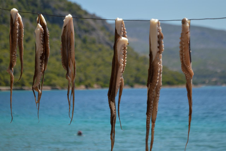From Athens: Loutraki, Vouliagmeni Lake & Beach Swim Day