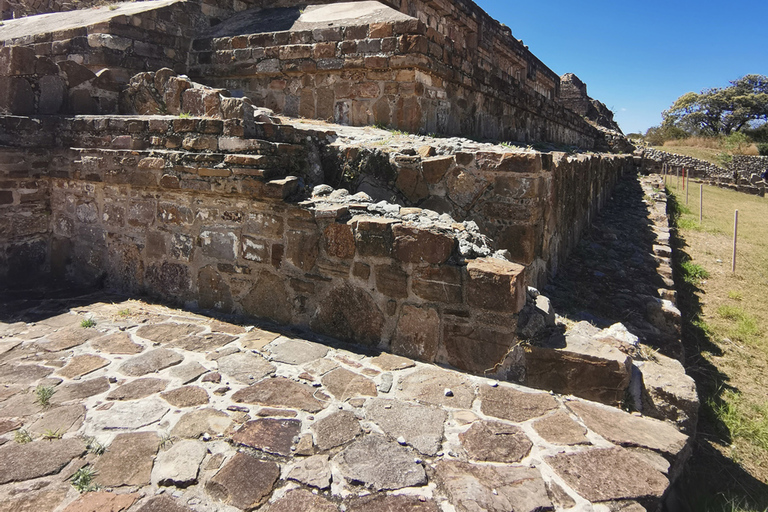 Rondleiding van een hele dag op de Monte Alban-routeTickets en eten inbegrepen