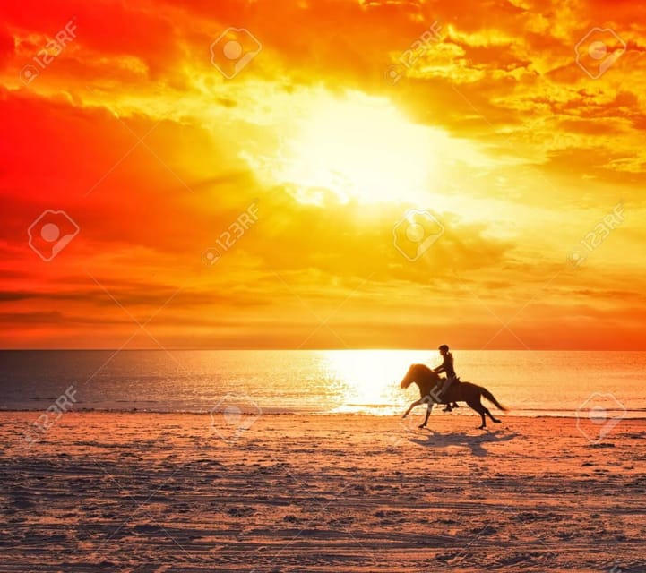Agadir/ Taghazout, 2 heures de promenade à cheval sur la plage - Hizvo
