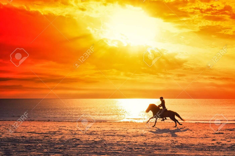 Agadir e Taghazout: Passeggiata a cavallo di 2 ore sulla spiaggia al tramontoTour di 2 ore in inglese, francese, tedesco o polacco