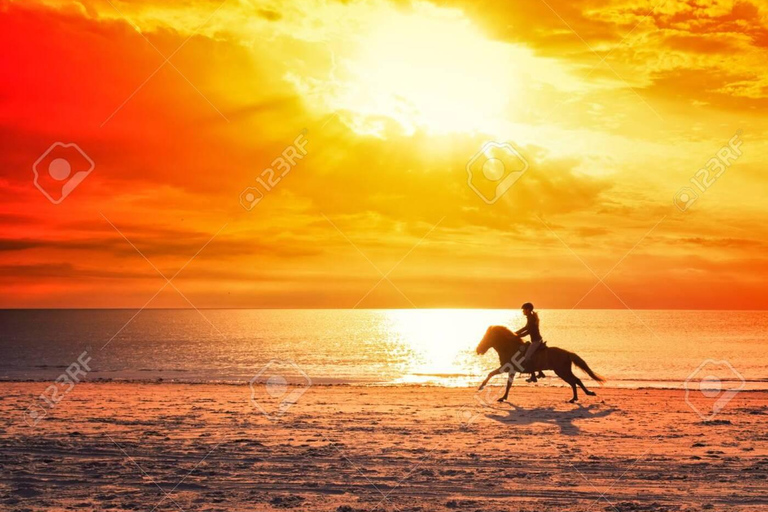 Agadir e Taghazout: Passeggiata a cavallo di 2 ore sulla spiaggia al tramontoTour di 2 ore in inglese, francese, tedesco o polacco