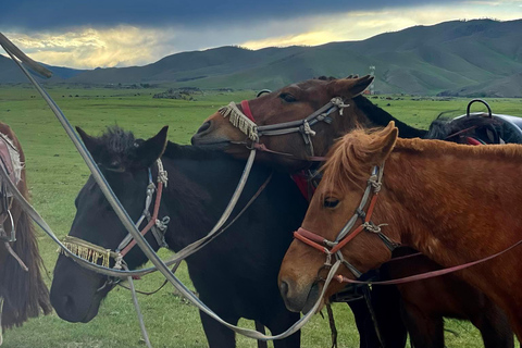 3 dagars bästa upplevelse i Mongoliet