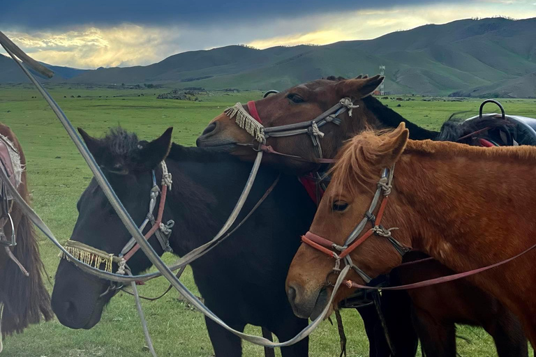 3 dagars bästa upplevelse i Mongoliet