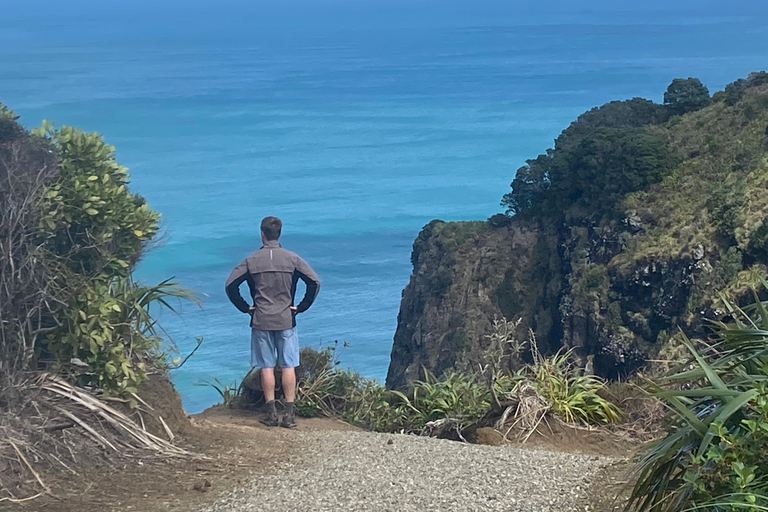 Piha e Karekare - Tour privato fuori AucklandTour privato guidato in lingua tedesca