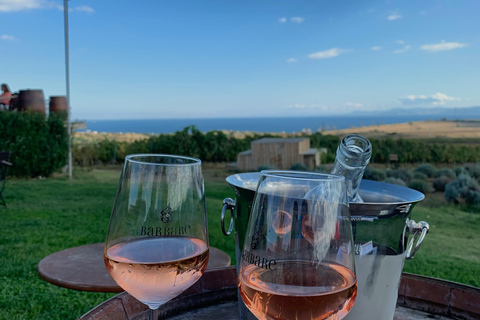 Exclusive Saint-Honorat Monk's Wine Experience from Cannes